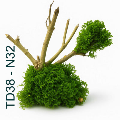 Natural Moss & Willow Decor – Loved by Fish, Shrimp & Reptiles - Image 2