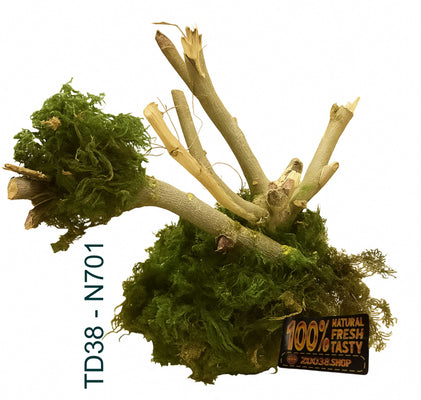 Natural Moss & Willow Decor – Loved by Fish, Shrimp & Reptiles - Image 4