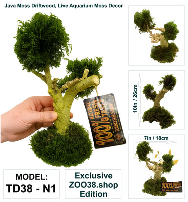 Natural Moss & Willow Decor – Loved by Fish, Shrimp & Reptiles - Image 5
