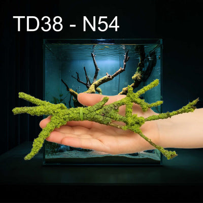 Natural Moss & Willow Decor – Loved by Fish, Shrimp & Reptiles - Image 13